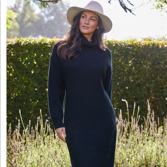 Karen Kane NWT TURTLENECK SWEATER DRESS - Picture 6 of 9